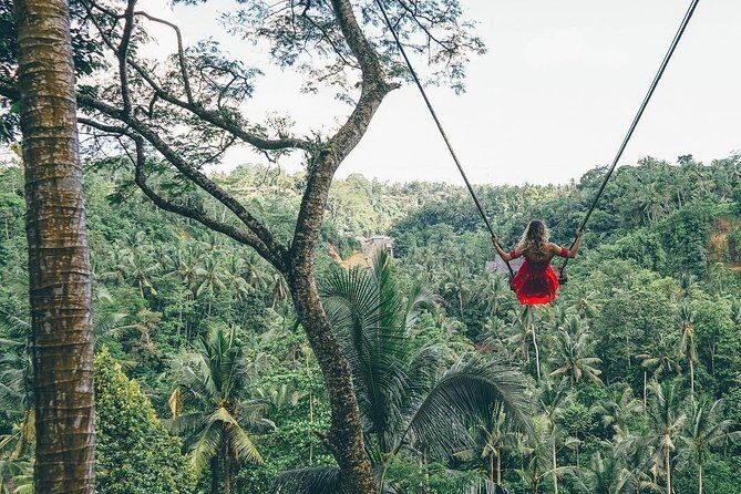 Bali Instagram Tour from Your Hotel (Private & Full-day) - East Bali temples and royal water gardens: Tirta Gangga with real photo appeal