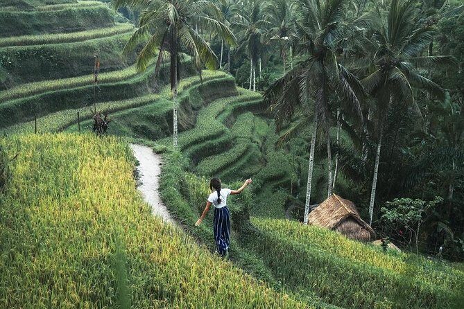Bali Instagram Tour from Your Hotel (Private & Full-day) - Rice terraces and Ubud-style culture stops you can actually fit in one day