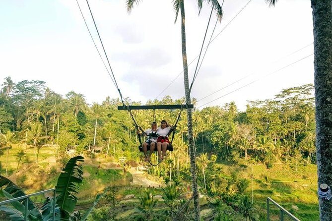 Bali Instagram Tour: The Most Scenic Spots - Tegalalang Rice Terrace: swings, sun, and that classic Bali photo energy