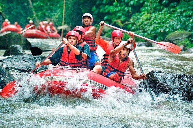 Bali Jungle Swing and White Water Rafting All Inclusive - Ayung River rafting at Bali Pertiwi: safety-first adrenaline with real scenic perks