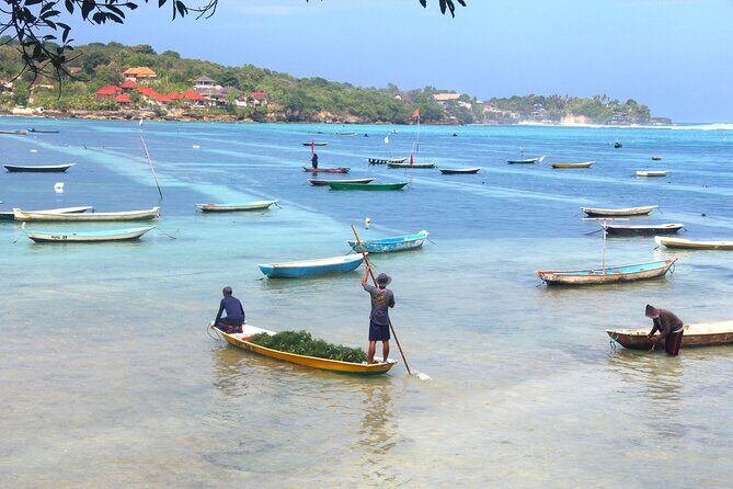 Bali Nusa Lembongan Islands Private Tour - All Inclusive - Mangrove Point: the morning stop with real protection behind it