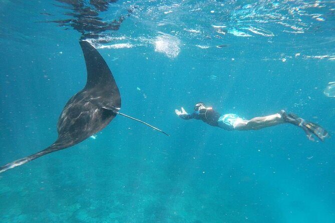 Bali Nusa Penida and Private Snorkeling (Manta Bay, Gamat, Wall) - Key highlights at a glance