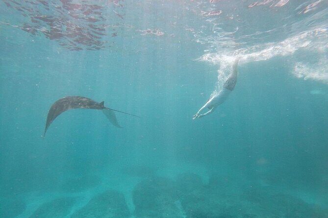 Bali Nusa Penida and Private Snorkeling (Manta Bay, Gamat, Wall) - Sanity-saving land stops: Kelingking, Angel’s Billabong, Pasih Uug