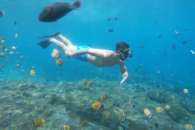 Bali Nusa Penida and Private Snorkeling (Manta Bay, Gamat, Wall) - How the day actually feels: pacing across 10 hours
