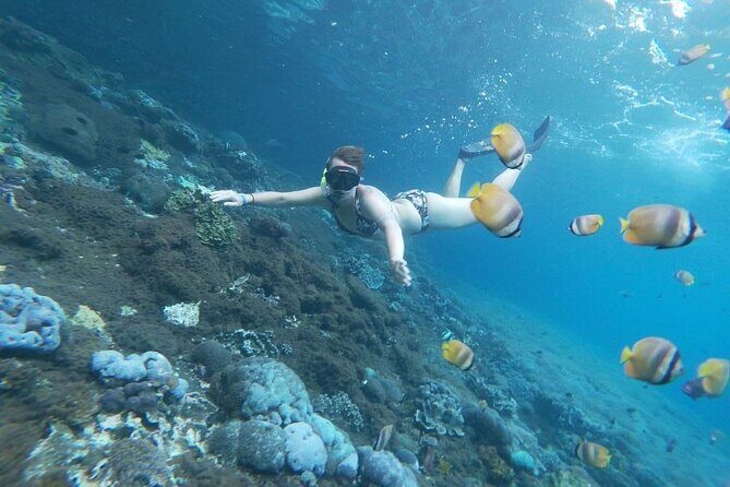 Bali Nusa Penida and Private Snorkeling (Manta Bay, Gamat, Wall) - VIP factor: what private really changes