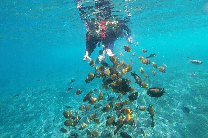 Bali Nusa Penida and Private Snorkeling (Manta Bay, Gamat, Wall) - What’s included (and why it’s good value)