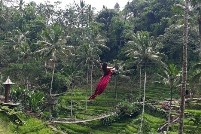 Bali Private 3 Days Tour Package Highlight - Who this tour suits best (and who should rethink it)