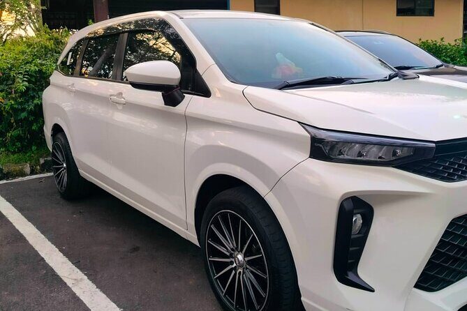 Bali Private Car Charter & Customize Tour With Driver English Speaking-Free WiFi - Why this private charter works in Bali traffic