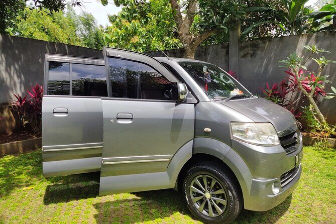 Bali Private Car Charter & Customize Tour With Driver English Speaking-Free WiFi - Stop-by-stop: Ubud temples, monkey forest, and rice terrace time