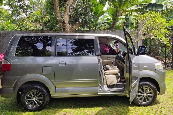 Bali Private Car Charter & Customize Tour With Driver English Speaking-Free WiFi - Tegenungan Waterfall and Uluwatu: nature breaks with real views