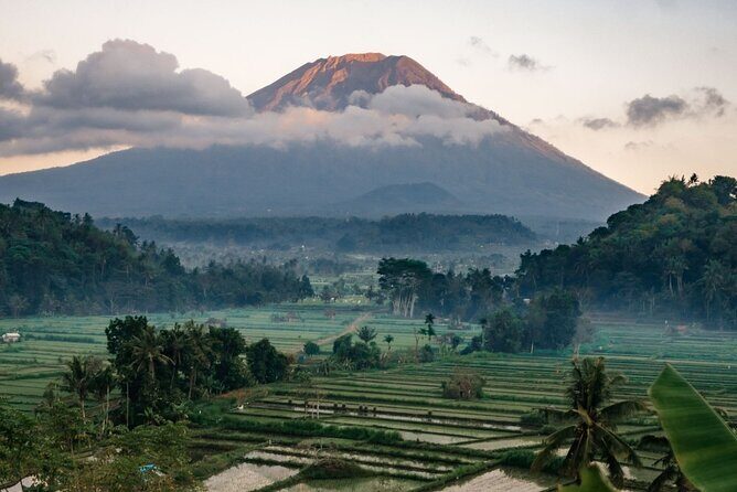 Bali Private Car Charter with English Speaking Driver - Key things that make this charter worth your time