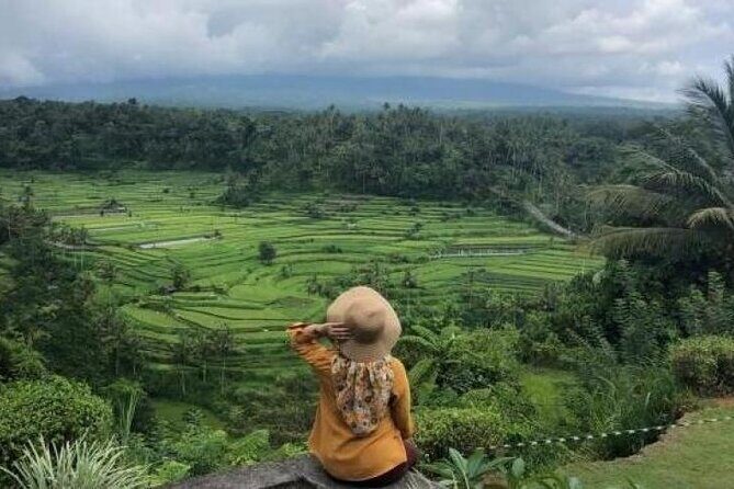 Bali Private Car Charter with English Speaking Driver - Ubud and Central Bali: temples, markets, and waterfalls