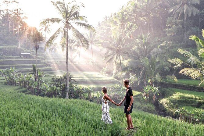 Bali Private Car Charter with English Speaking Driver Or Guide - How the Private Car Day Works in Seminyak