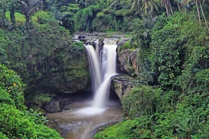 Bali Private Car Charter with English Speaking Driver Or Guide - Photo-Friendly Stops That Actually Work
