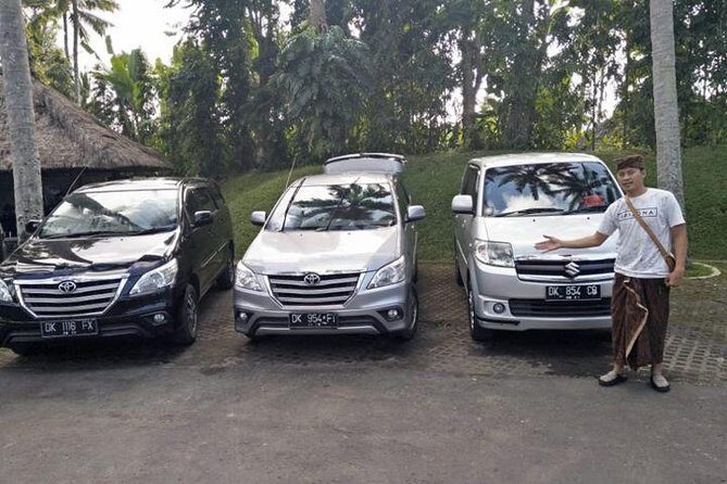Bali Private Car Charter With English Speaking Driver To Ubud Area - A Full-Day Private Charter From Seminyak to the Ubud Area