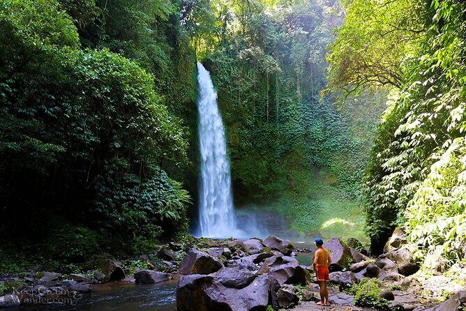 Bali Private Car Charter with English Speaking Driver - Pickup that’s easy to follow (and why that matters)