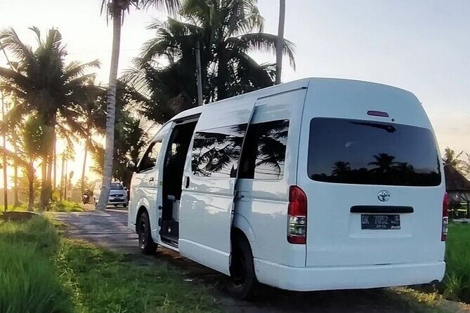 Bali Private Car Service with English Speaking Driver - Doni’s driving: what the standout reviews point to