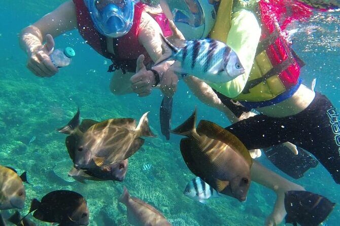 Bali Private Custom Tour - A Private Day With Your Own Car and English Driver in Seminyak