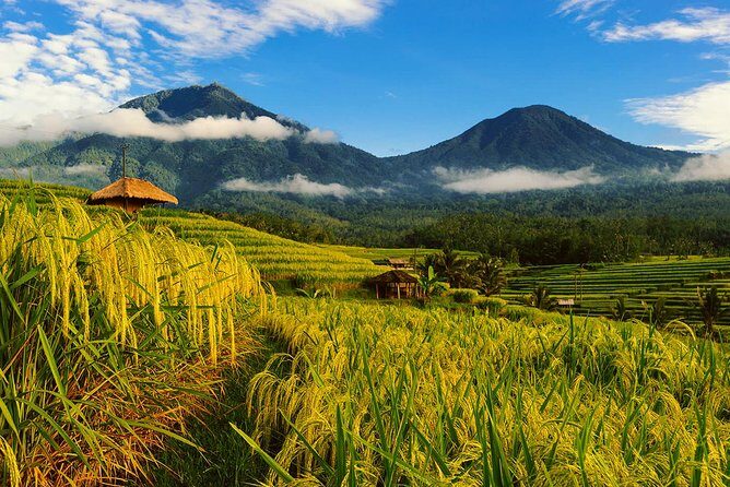 Bali Private Driver - Bali customized private tour - Key highlights to know before you go