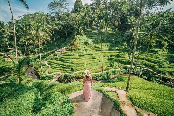 Bali Private Driver - Bali customized private tour - Ubud and Tegalalang: plan for viewpoints and a slower tempo
