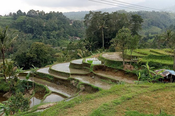 Bali Private Tour Guide And Driver - Kuta Meets the Rest of Bali: Why Private Transport Feels Worth It
