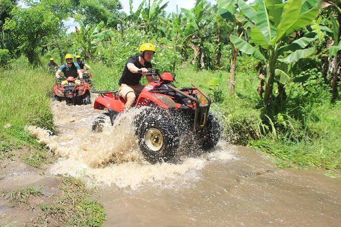 Bali Private Tour Guide And Driver - Where Your Day Can Go: Ubud, Denpasar Nights, Uluwatu, and Village Visits