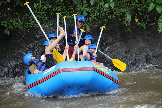 Bali Private Tour Guide And Driver - Getting the Most Out of Your Day Without Overplanning