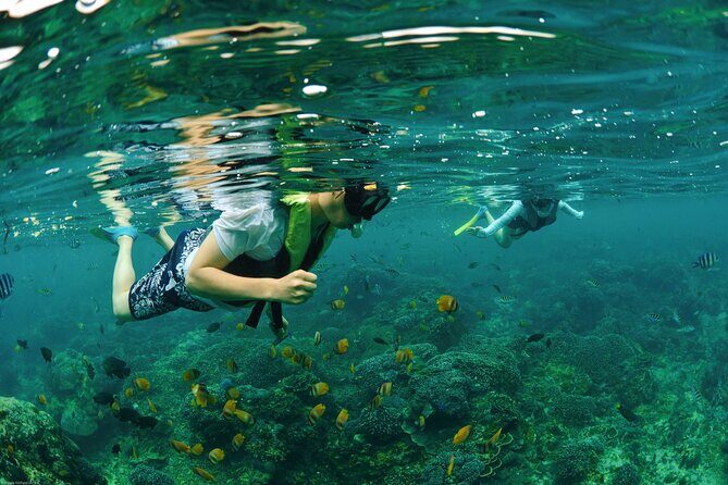 Bali Reef Cruise and Lembongan Island Day Trip - Waterslide and banana boats: the high-energy highlights