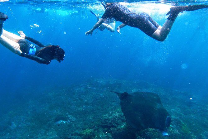 Bali Scuba Diving at Nusa Penida Manta Point For Certified Diver - Price and value: what $180 buys you (and why it can be worth it)