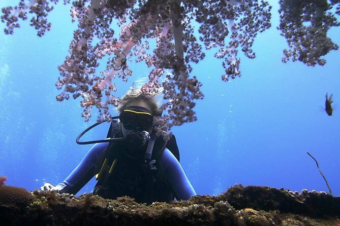 Bali Scuba Diving trip at Tulamben for Certified Diver - Certified-diver format: what happens in the water
