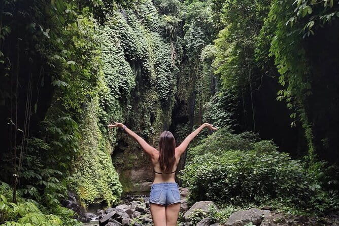 Bali Sekumpul with Fiji Waterfall & Bedugul Temple (Private Tour) - Price and Value at $55 Per Person