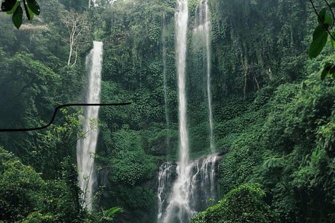 Bali Sekumpul with Fiji Waterfall & Bedugul Temple (Private Tour) - Sekumpul Waterfall: The Walk You’ll Remember