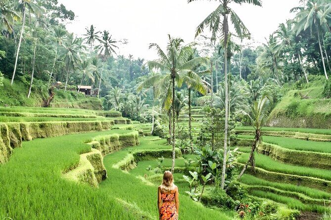 Bali Shore Excursions : Best of Bali Tour - Ubud highlights with room to breathe