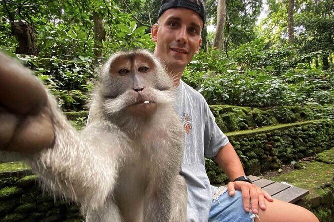 Bali Swing, Monkey Forest and Waterfall Private Tour - Tegalalang Rice Terrace: terraced views and irrigation you can spot