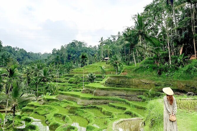Bali Tour : Best Attractions in Ubud with Rice Terrace - Price and logistics: what $25 gets you (and what to watch)