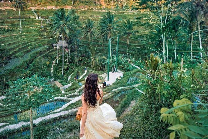 Bali Tour : Best Attractions in Ubud with Rice Terrace - How your day moves in Bali traffic (and why private matters)