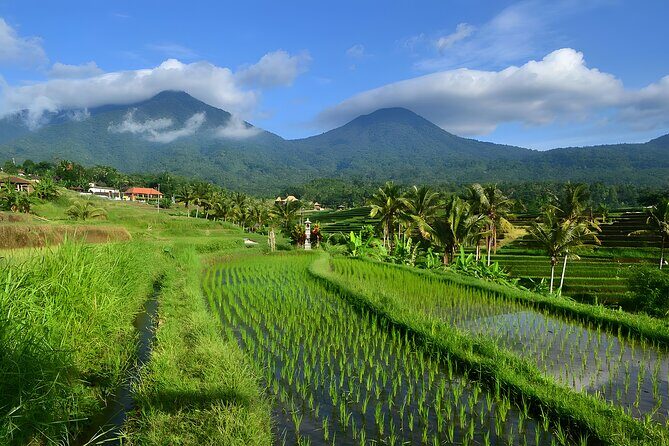 Bali Tour: The Best Way to Explore The Highlight of Bali - How a private Bali highlights day runs from Seminyak