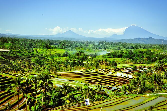 Bali Tour: The Best Way to Explore The Highlight of Bali - Penatahan Hot Spring Kaja: the soak you’re actually hoping for