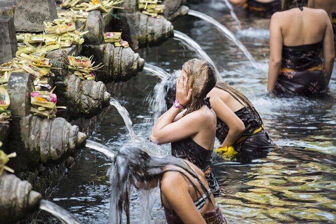 Bali Ubud Driver - Key reasons this Bali Ubud driver day is worth it