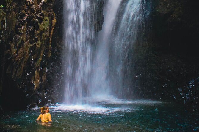 Bedugul and Singaraja Tour - North Bali in One Long Day: What This Tour Delivers