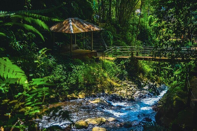 Bedugul and Singaraja Tour - Price and Value: Is $70.52 Worth It for This Route?
