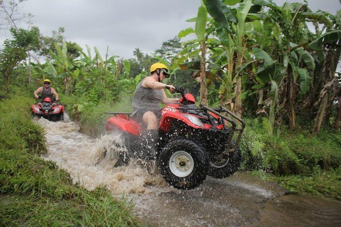 BEST ATV RIDE and Ubud Cultural Tours - The Bali Pertiwi Adventure ATV Ride: Mud, Rice Fields, Jungle, and That Tunnel Moment