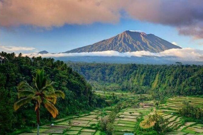 Best bali transport service - custom your own itinerary - Key things I’d plan around