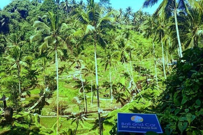 Best bali transport service - custom your own itinerary - How the driver actually makes the day easier