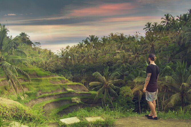 Best of Bali : Bali Temples , Rice Terrace and Waterfall Tour - Stop 3: Tirta Empul Temple and the Holy Water Purification Experience