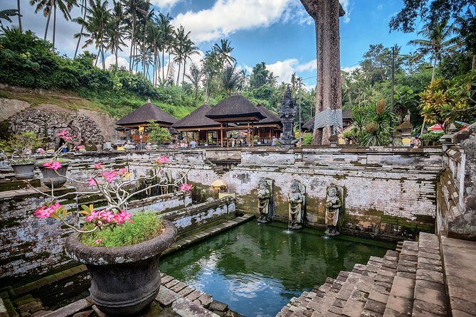 Best of Bali : Bali Temples , Rice Terrace and Waterfall Tour - Stop 5: Tegalalang Rice Terrace and How to Get the Most From Your One Hour
