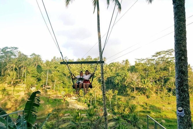 Best of Bali Jungle Swing with Ubud Sightseeing Tour - Coffee Plantation Stop: A Break in the Flow