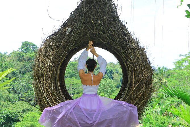 Best of Instagram Tour: Gate of Heaven, Tirta Gangga, Bali Swing - Aloha Ubud Swing: Jungle Swings, Bird Nests, and Extra Photo Fees