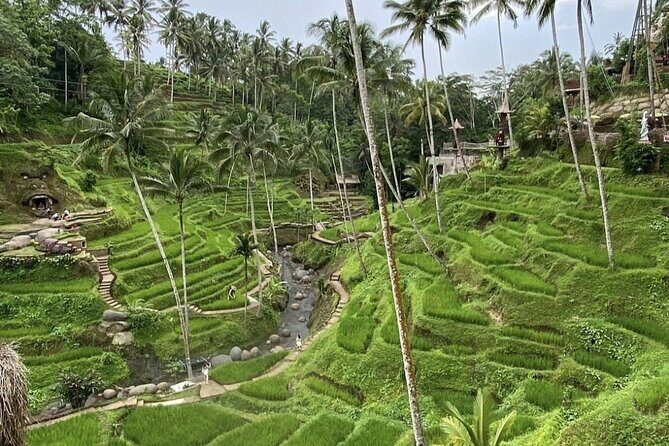 Best of Instagram Tour: Gate of Heaven, Tirta Gangga, Bali Swing - Guide Quality Is the Real Secret Sauce (Ayu, Dewa, Darma, Arta, Dirga)