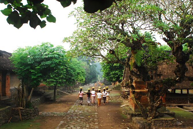 Best of The Gate of Heaven and East Bali Tour - Tenganan Traditional Village: Bali Aga culture and ritual energy
